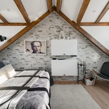 Luxury Castle No1 Loft With A Sauna
